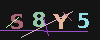 Gambar captcha
